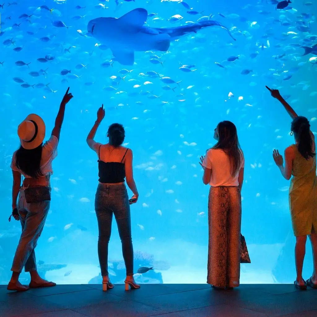 phuket akvaryum