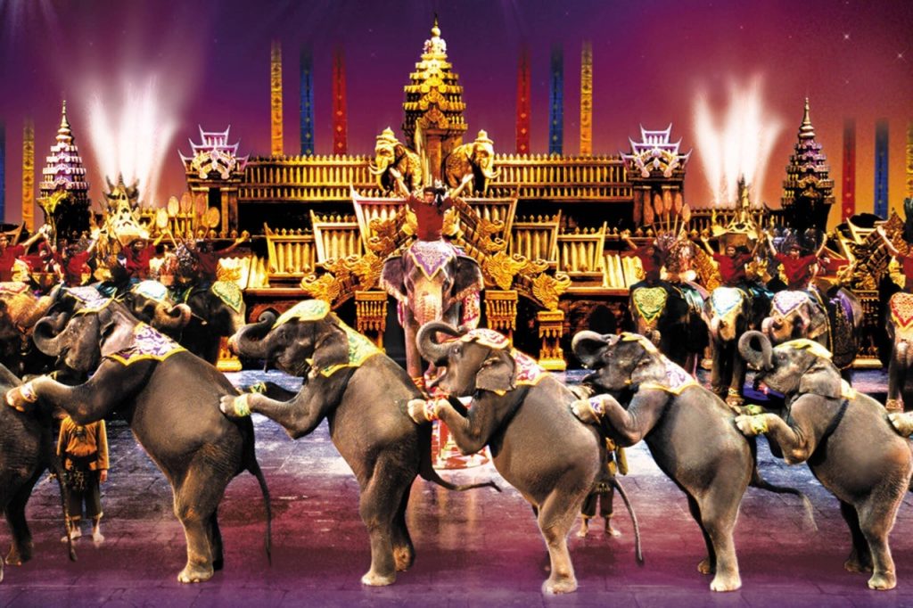 Phuket fil gösterileri - Fantasea Show Turu